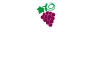 Vigneti Fassone Logo
